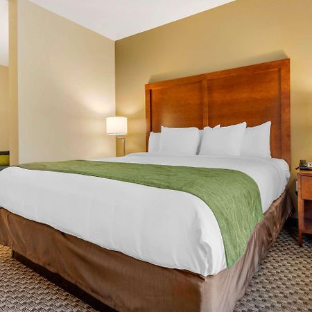 Comfort Inn & Suites Флоренс Экстерьер фото