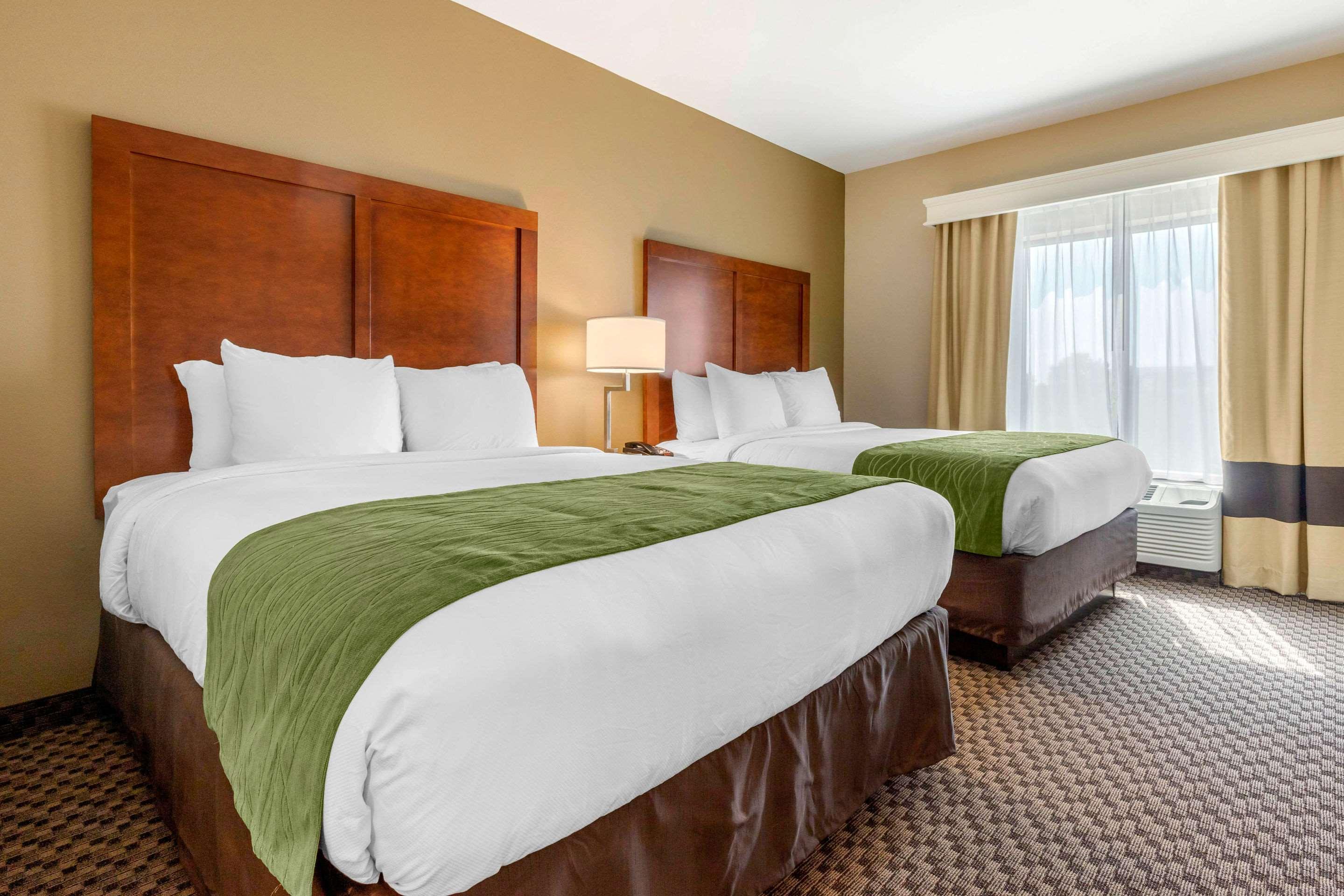 Comfort Inn & Suites Флоренс Экстерьер фото