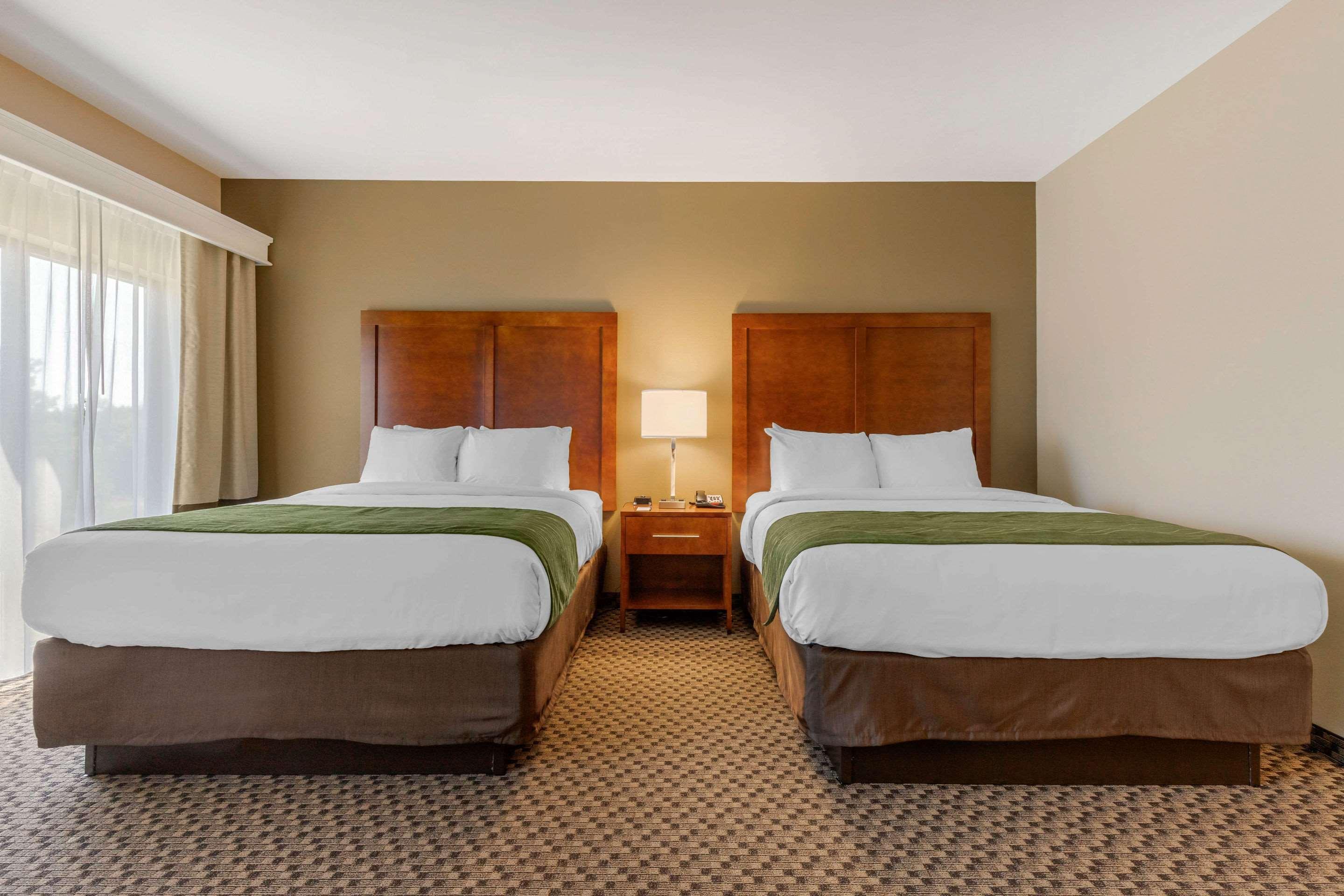 Comfort Inn & Suites Флоренс Экстерьер фото