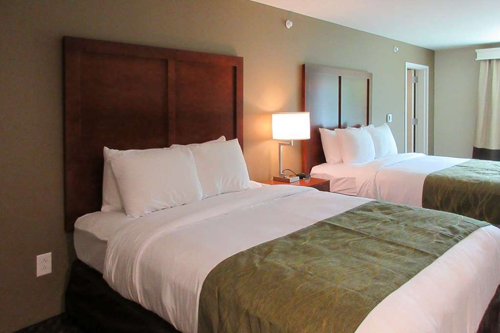 Comfort Inn & Suites Флоренс Номер фото